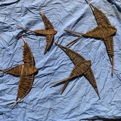 Willow swifts