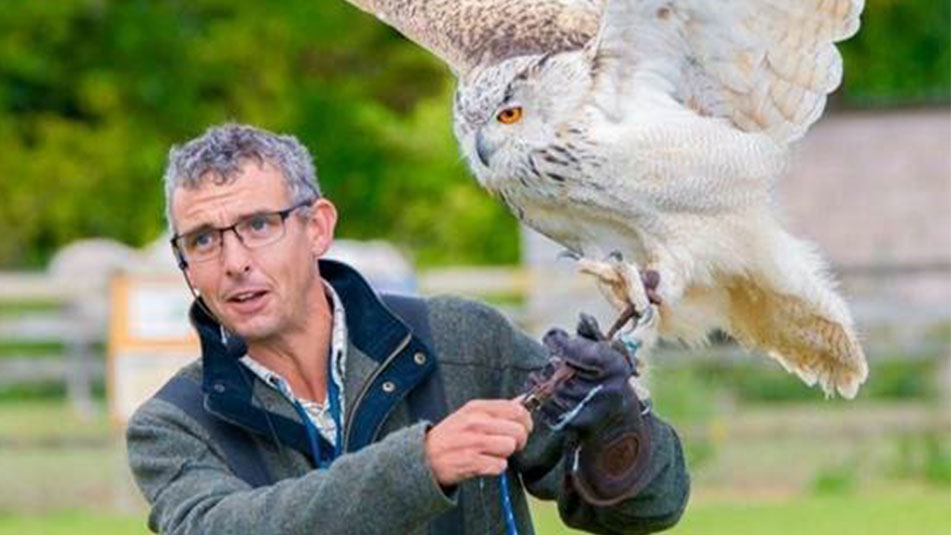 Falconry Day | Family events | Exbury Gardens | New Forest, Hampshire